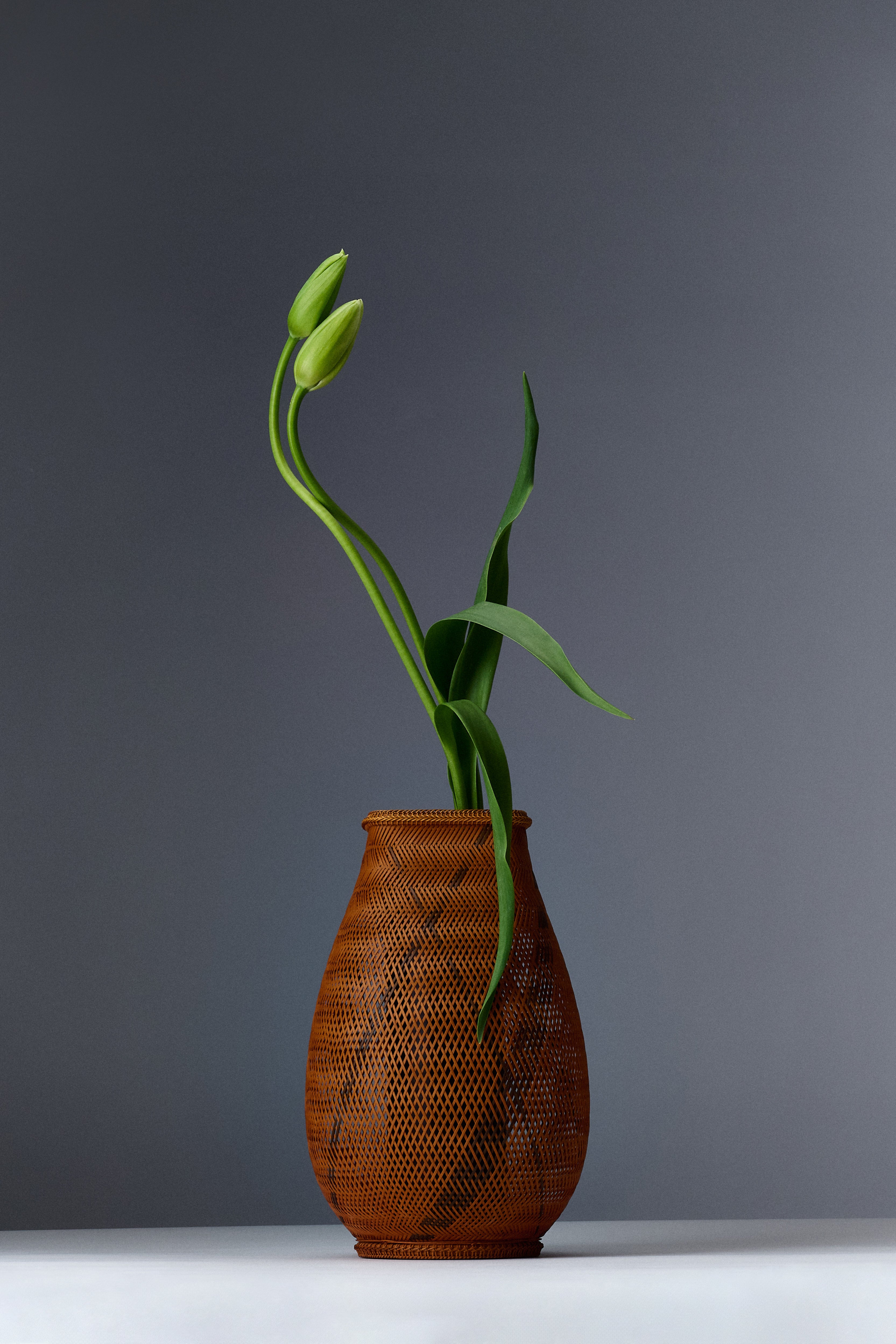 Galerie: Jewelry, Art & More | The Row
