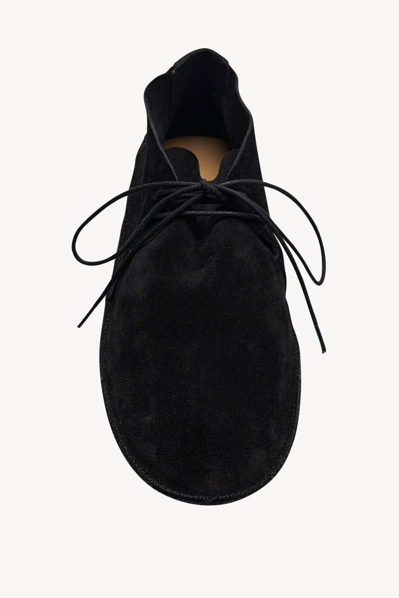 Lucca Lace Up Shoe in Suede
