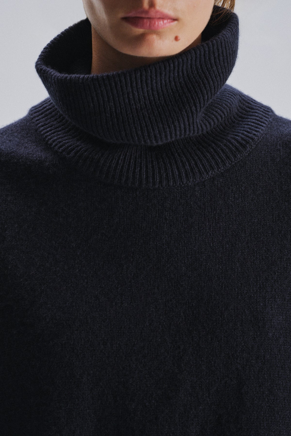 Stepny Turtleneck