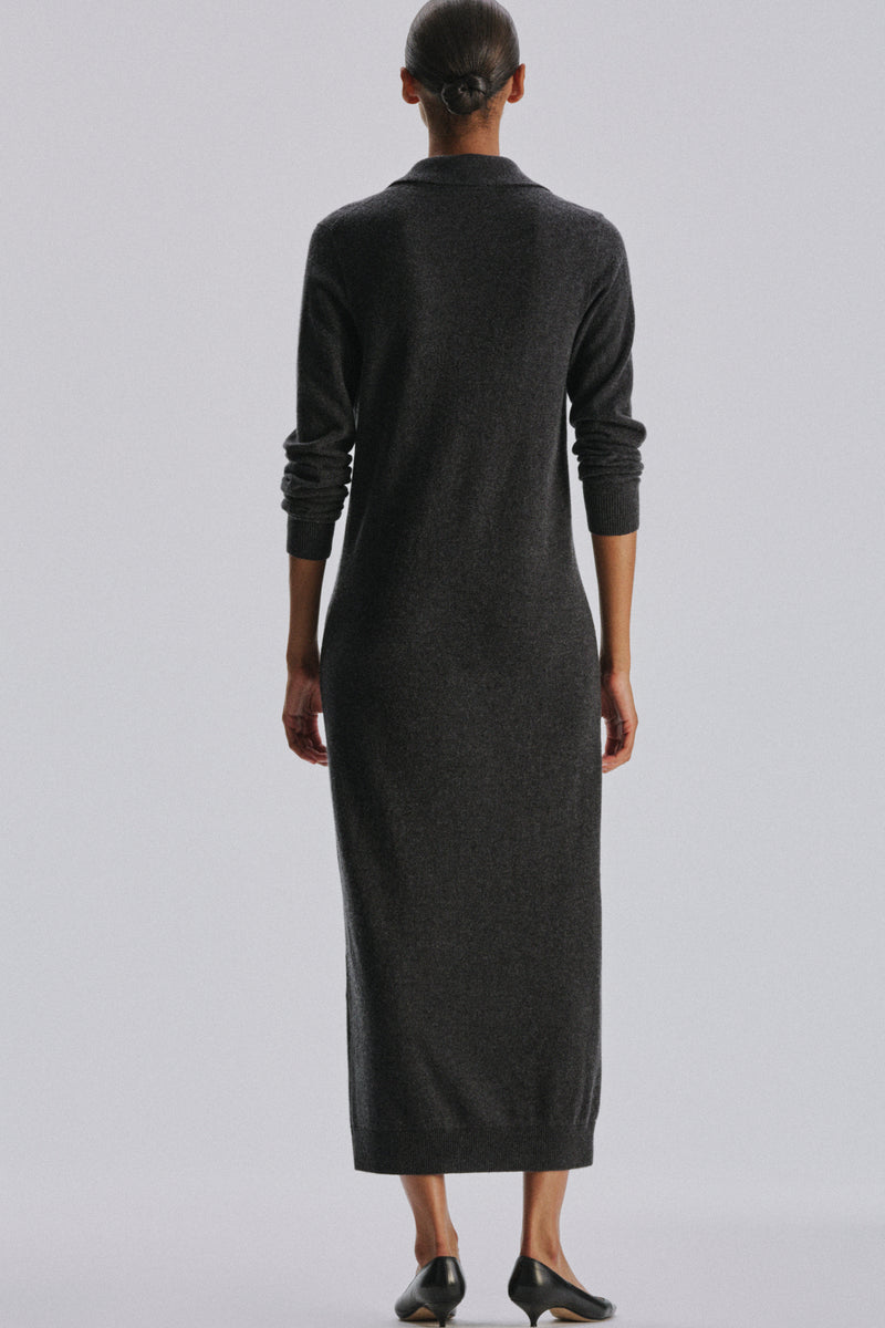 Paru Dress