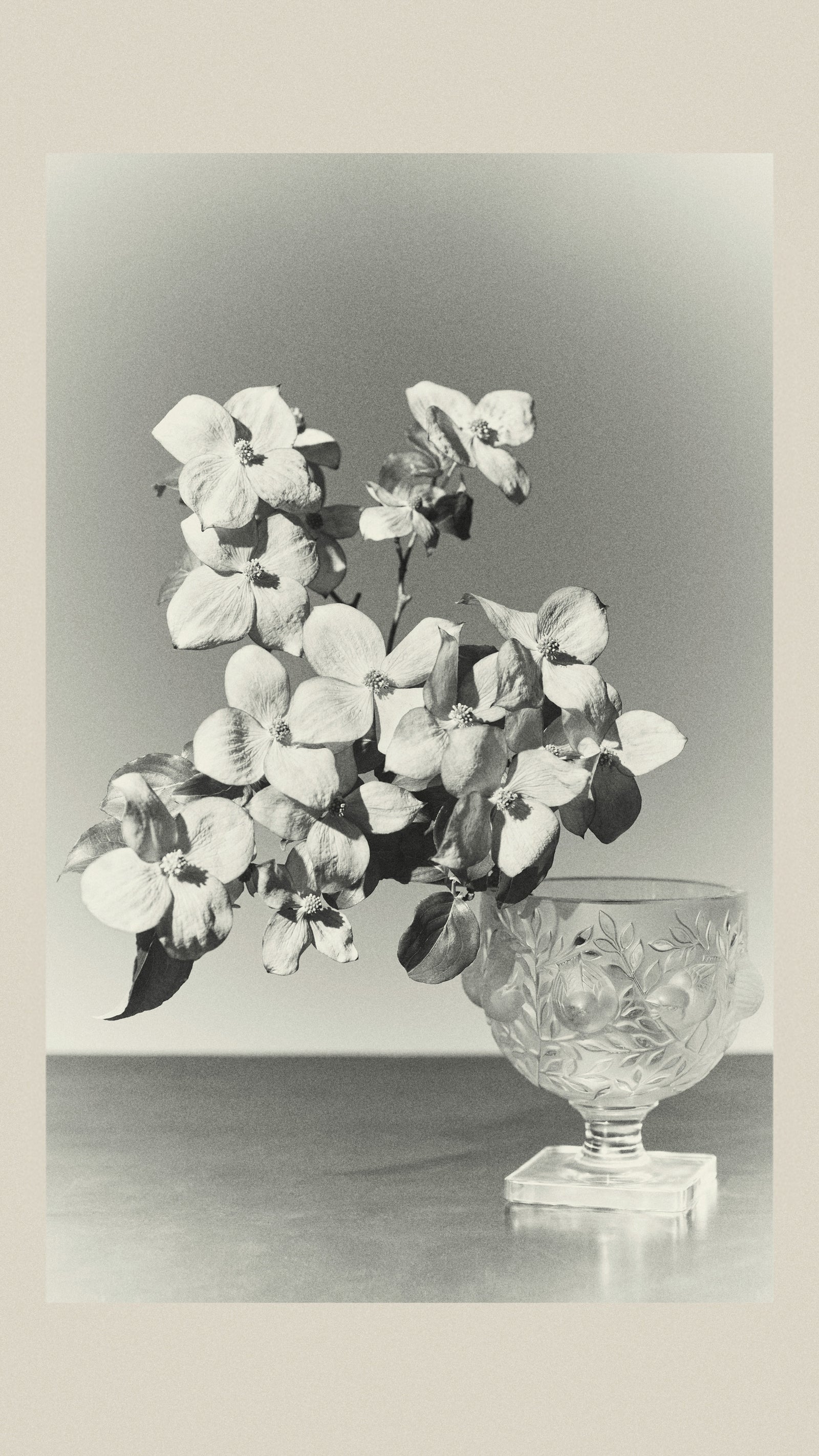 New Arrivals, Page 1, #2