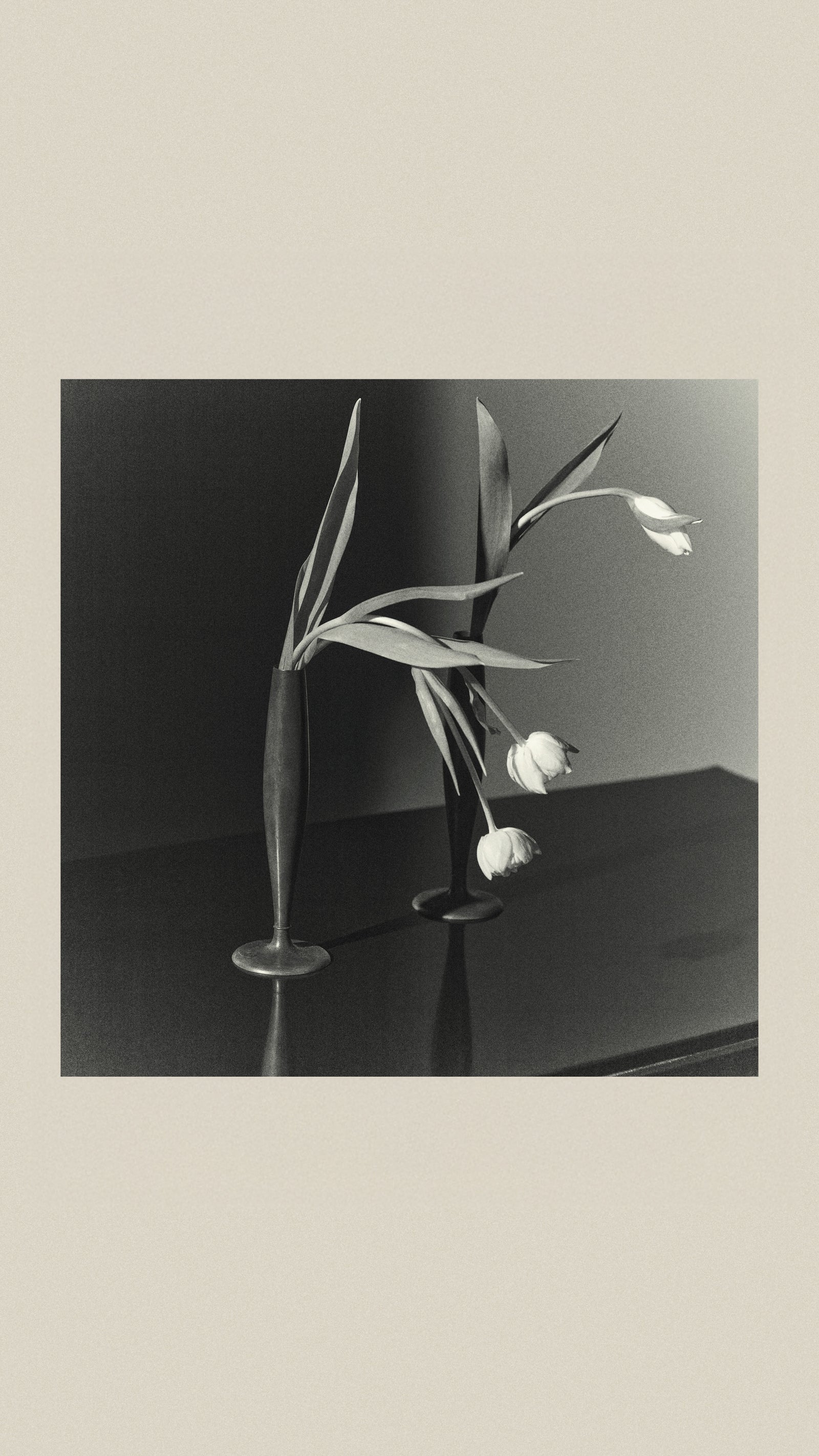 New Arrivals, Page 1, #2