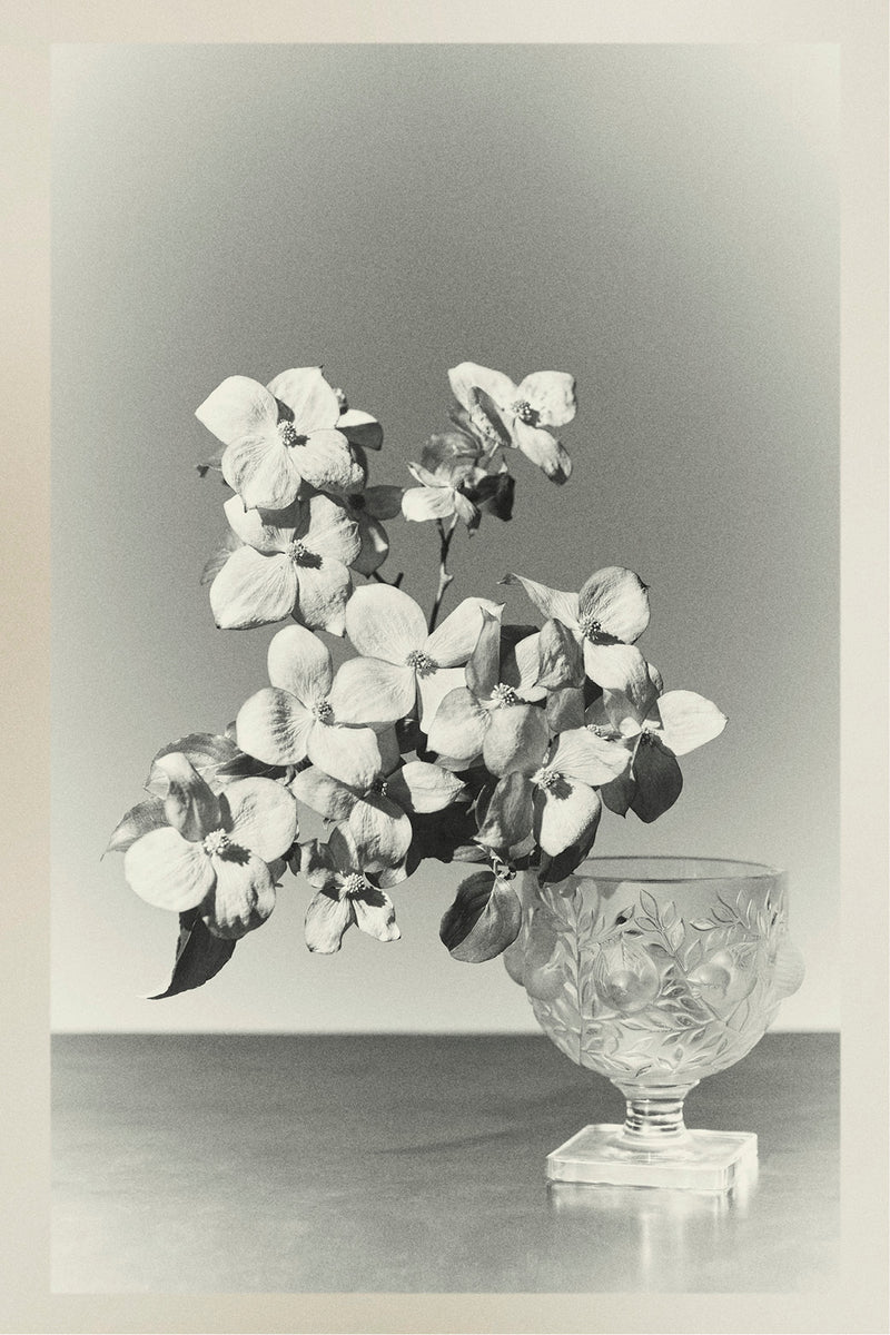 :: Spring 2026 :: Look 15