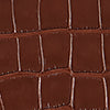 Arlo Bag in Alligator